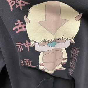 Avatar the Last Airbender Hoodie size XL